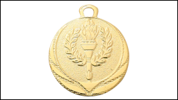 winnaars goud